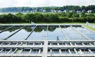 溫馨提示 近期華南地區(qū)暴雨增多,自來水公司制水原水濁度增大,聚合氯化鋁 凈水劑 用量增大,希望大家提前計(jì)劃,感謝技持